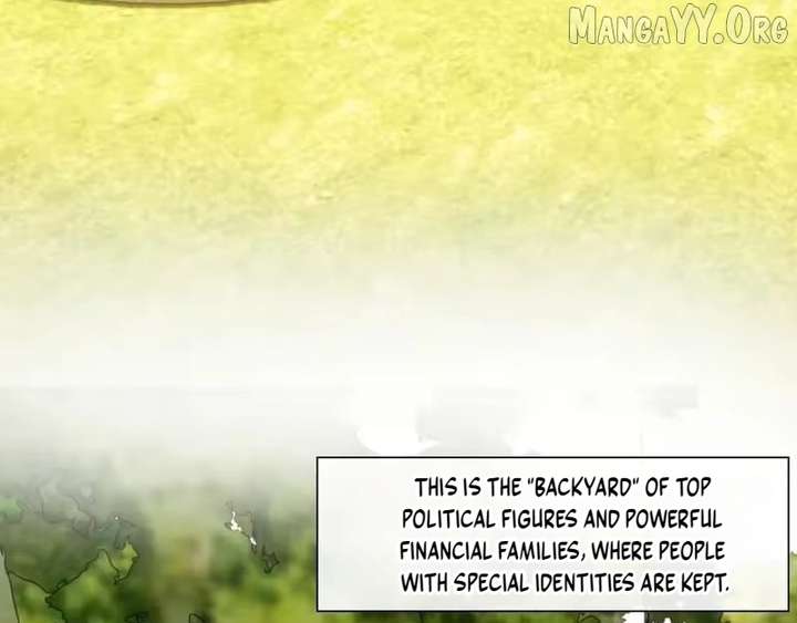 Madam and Her Daily Online Face-Slapping Chapter 224 - Page 17