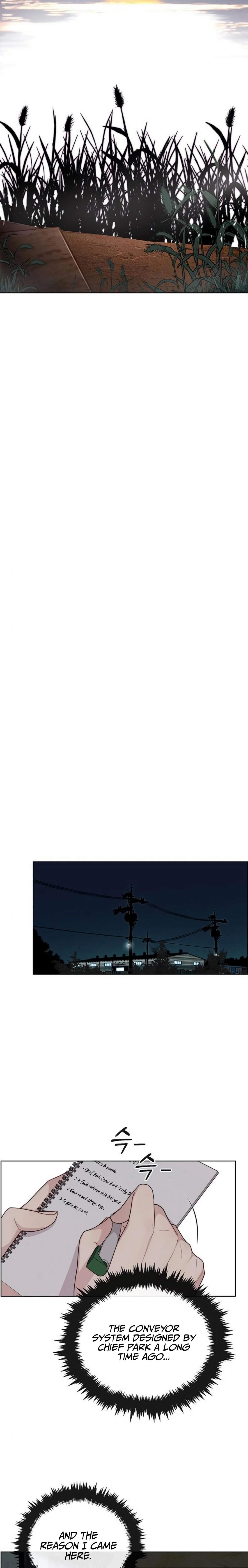 Real Man Chapter 248 - Page 13