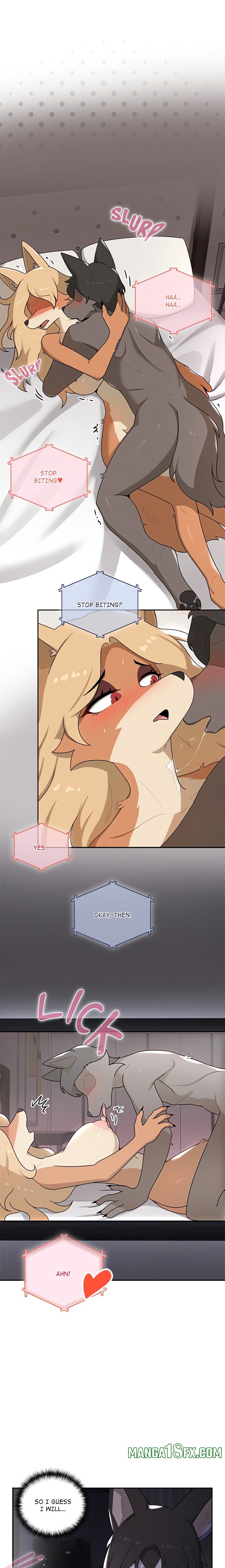 Paws on Campus Chapter 4 - Page 1