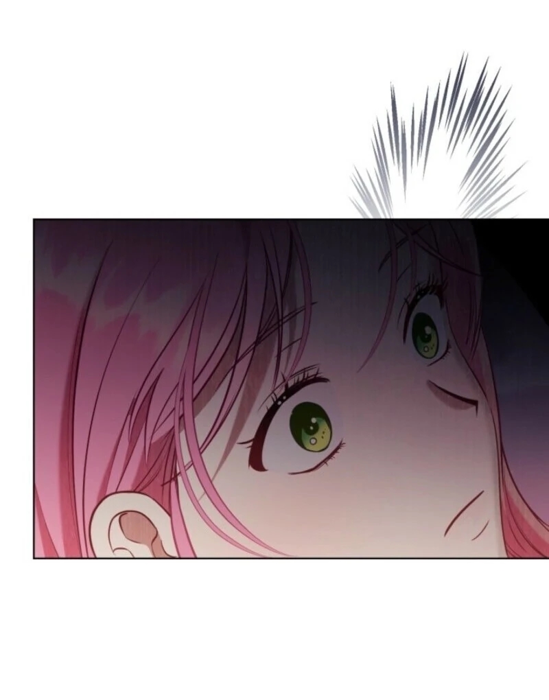 A Transmigrator’s Privilege Chapter 106 - Page 13