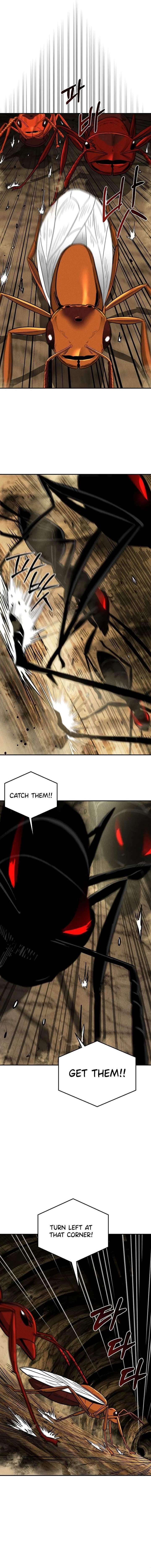 Empire of the Ants Chapter 22 - Page 13