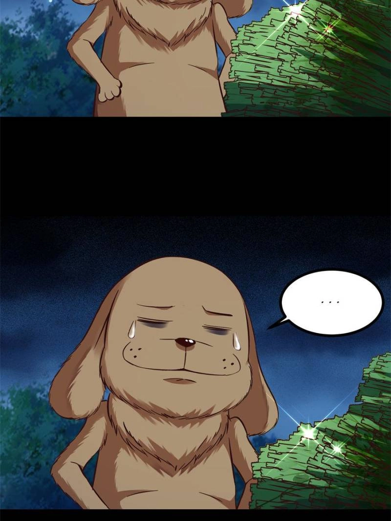 Rebirth: City Deity Chapter 313 - Page 25