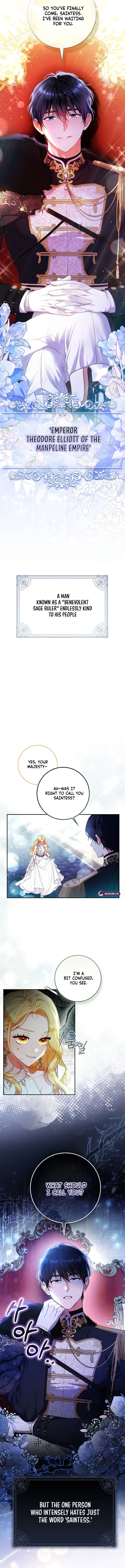 I’m a Fairy, Not a Saintess Chapter 1 - Page 4