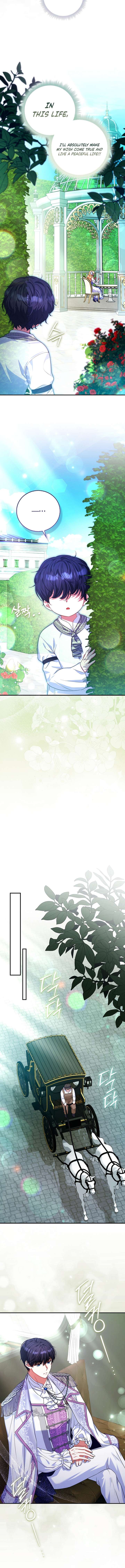 I’m a Fairy, Not a Saintess Chapter 13 - Page 13