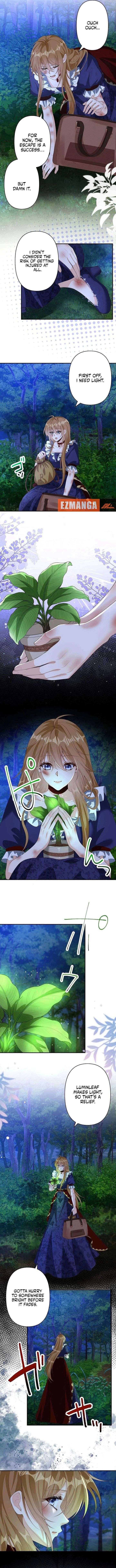 The Marriage Statute Has Expired – I Intended to Begin This Life With a Divorce, But the Prince Clings to Me Chapter 27 - Page 9