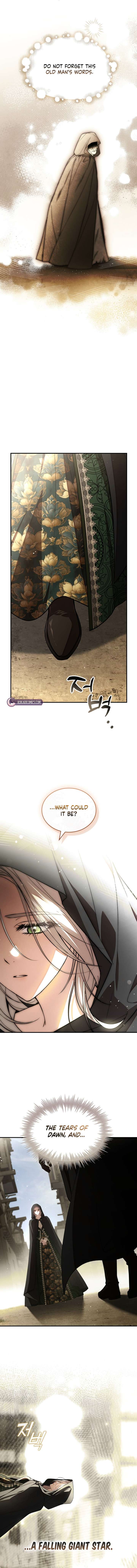 The Crown I Will Seize Chapter 17 - Page 13