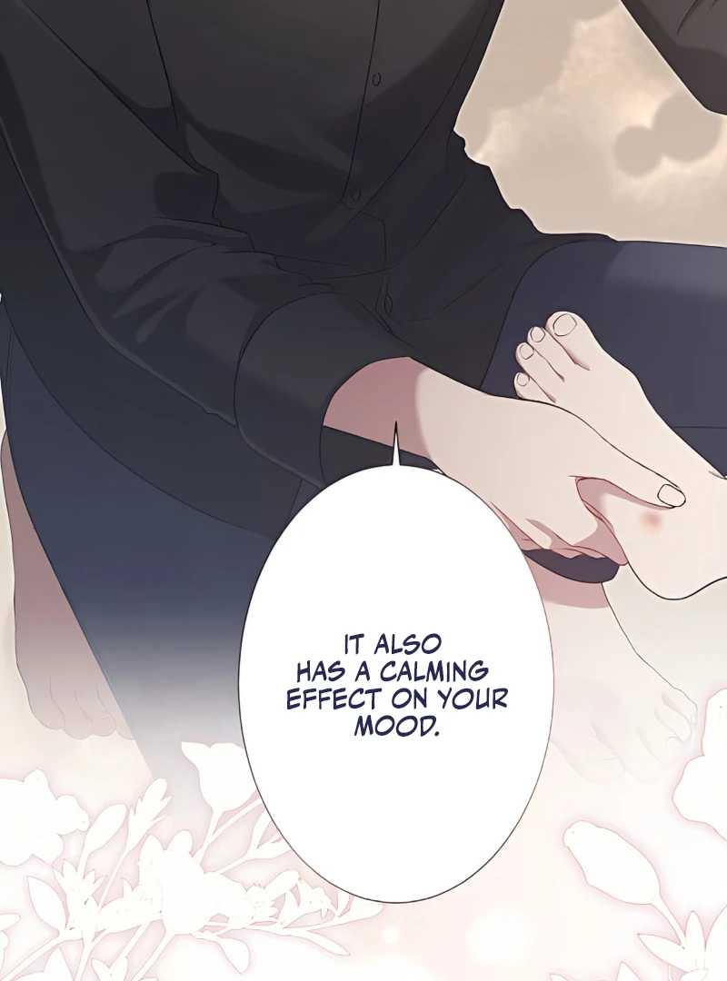 The Hidden Prince Who Loved Me Chapter 4 - Page 28