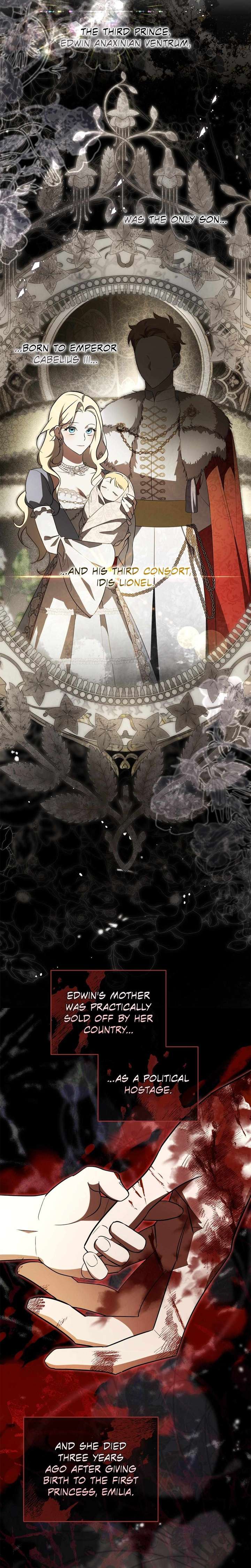 Once an Assassin, Now a Royal Nanny Chapter 2 - Page 17