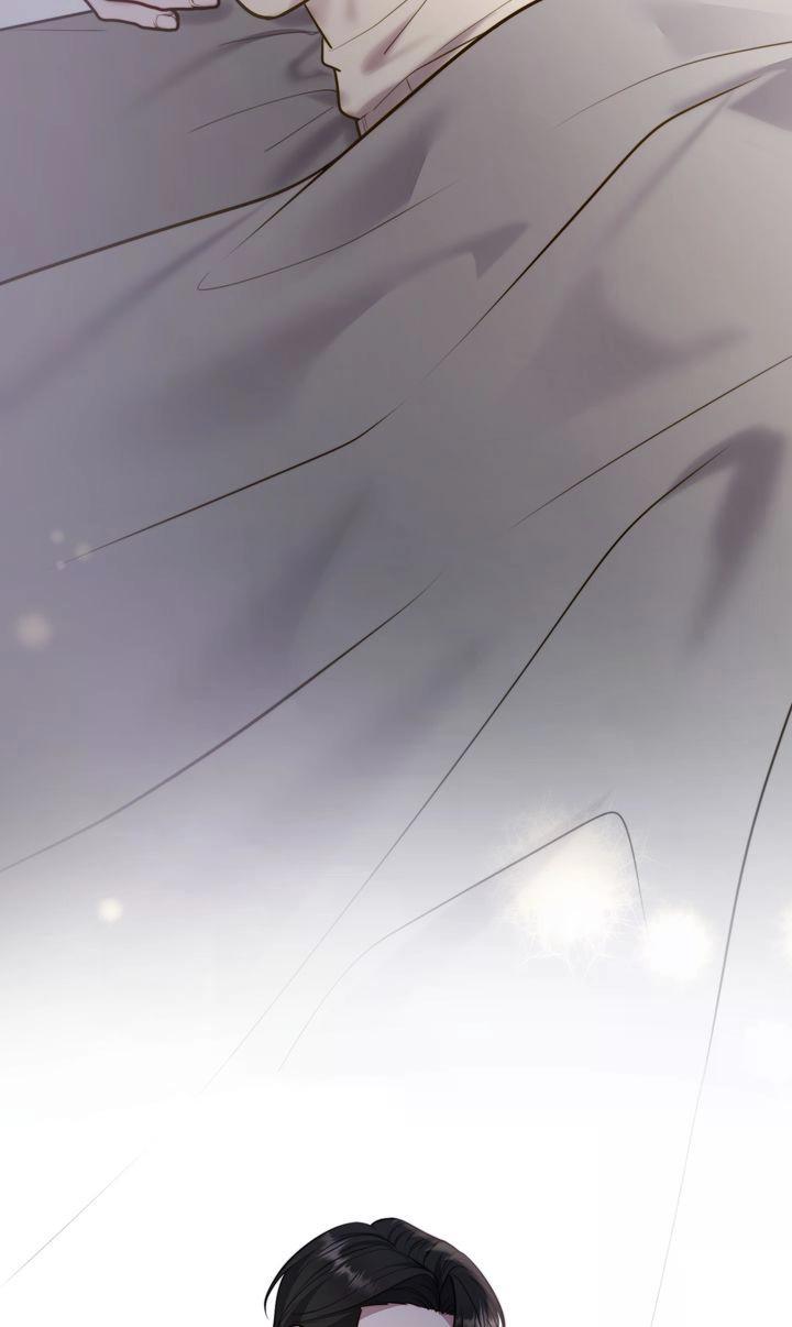The Billionaire’s Replacement Wife Chapter 74 - Page 28