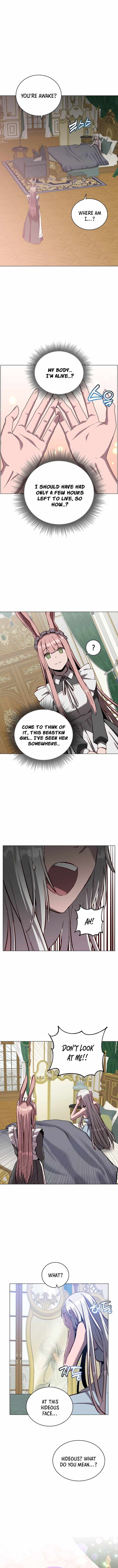 The Max Level Hero has Returned! Chapter 242 - Page 4