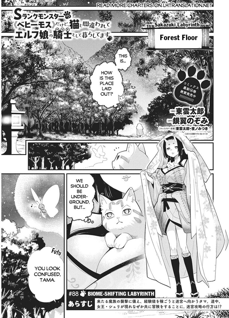 I Am Behemoth Of The S Rank Monster But I Am Mistaken As A Cat And I Live As A Pet Of Elf Girl Chapter 88 - Page 17