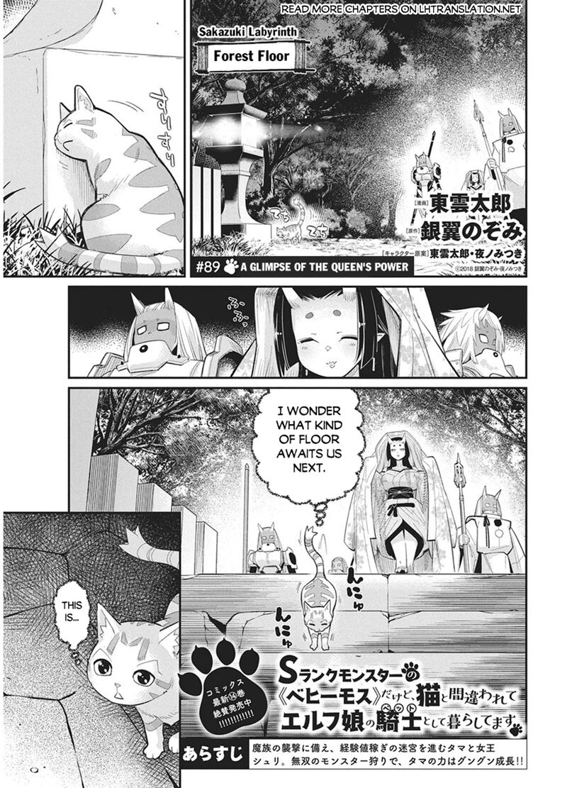 I Am Behemoth Of The S Rank Monster But I Am Mistaken As A Cat And I Live As A Pet Of Elf Girl Chapter 89 - Page 16