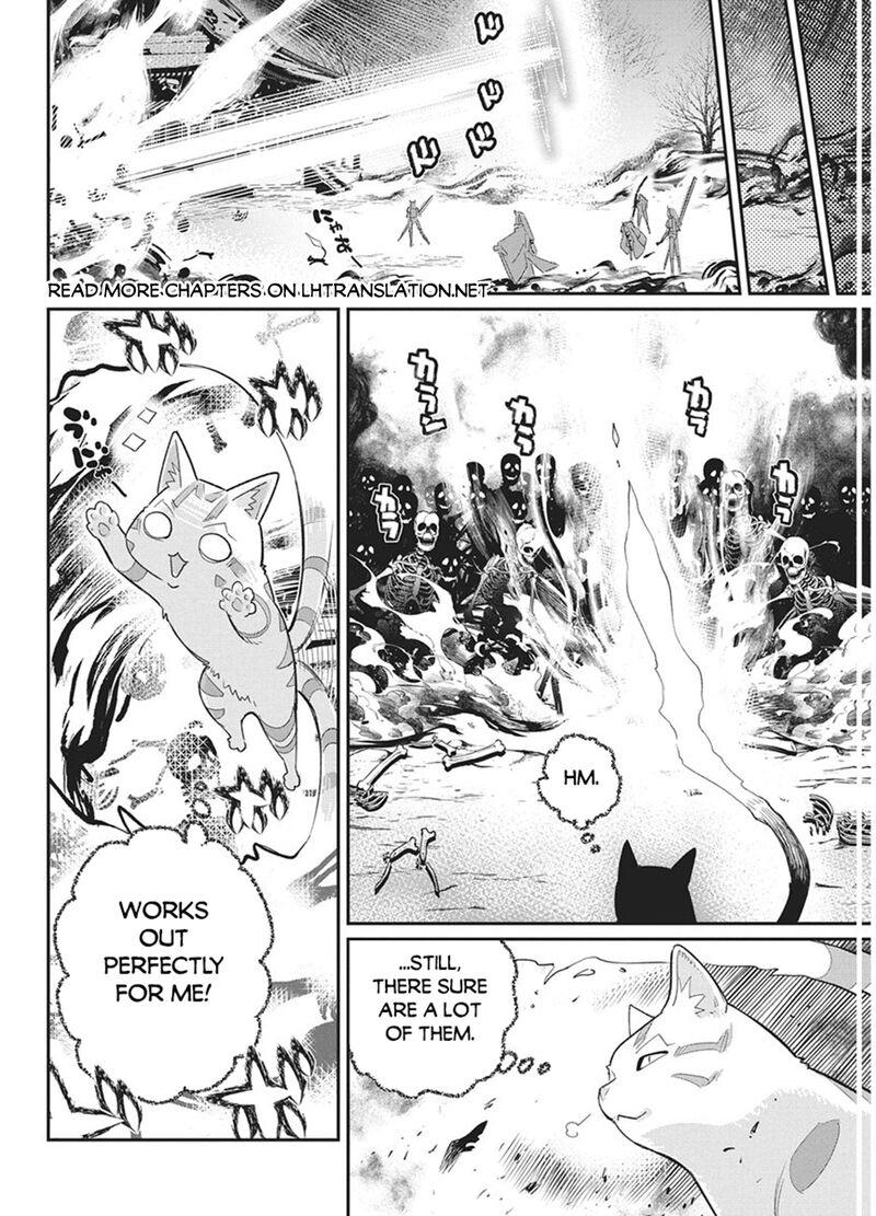 I Am Behemoth Of The S Rank Monster But I Am Mistaken As A Cat And I Live As A Pet Of Elf Girl Chapter 89 - Page 8